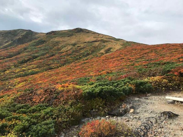 【福岡空港発】 《登山》紅葉のじゅうたん!栗駒山登山2日間*3